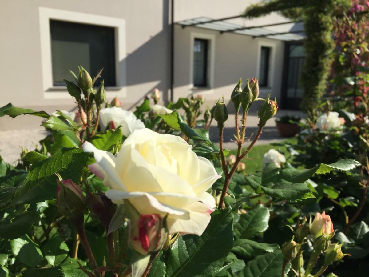 B&B Cascina Sagrestia Asola Dış mekan fotoğraf