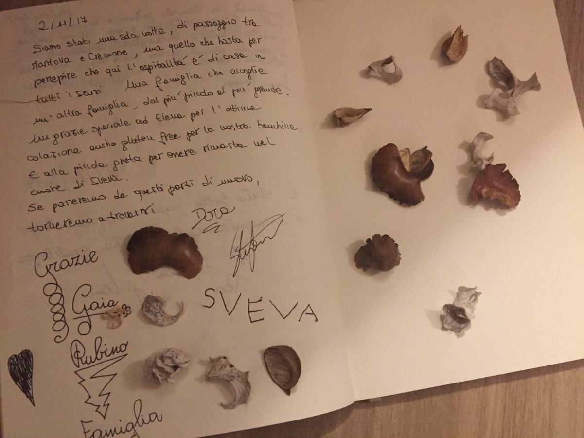 B&B Cascina Sagrestia Asola Dış mekan fotoğraf