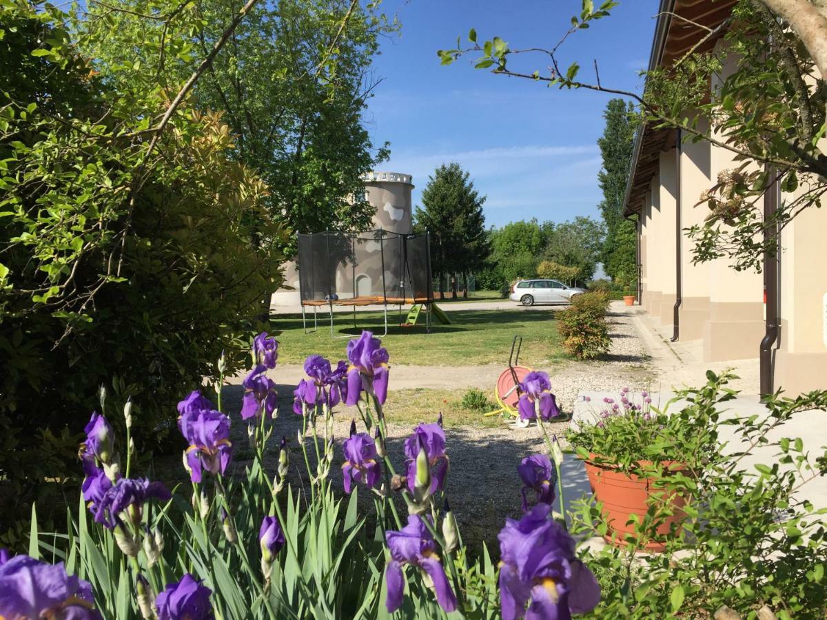 B&B Cascina Sagrestia Asola Dış mekan fotoğraf